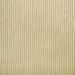 Kravet Couture Picket Honey Am100382-416 by Andrew Martin Garden Path Collection Multipurpose Fabric