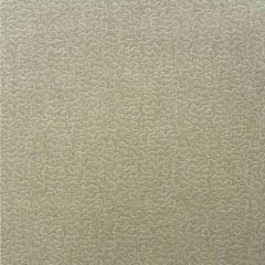 Kravet Couture Pollen Stone Am100383-106 by Andrew Martin Garden Path Collection Multipurpose Fabric