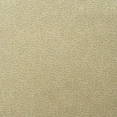 Kravet Couture Pollen Honey Am100383-416 by Andrew Martin Garden Path Collection Multipurpose Fabric