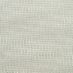 Kravet Couture Birch Chalk 100390-1 by Andrew Martin Woodland Sophie Paterson Collection Indoor Upholstery Fabric