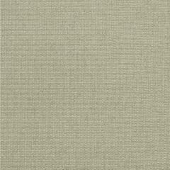 Kravet Couture Birch Stone 100390-106 by Andrew Martin Woodland Sophie Paterson Collection Indoor Upholstery Fabric
