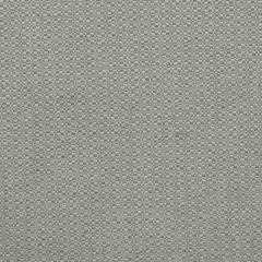Kravet Couture Birch Fog 100390-11 by Andrew Martin Woodland Sophie Paterson Collection Indoor Upholstery Fabric