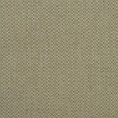 Kravet Couture Birch Autumn 100390-624 by Andrew Martin Woodland Sophie Paterson Collection Indoor Upholstery Fabric
