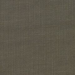 Kravet Couture Hazel Stone 100396-106 by Andrew Martin Woodland Sophie Paterson Collection Indoor Upholstery Fabric