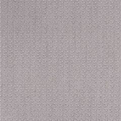 Kravet Couture Ravello Plaster 100431-116 Amalfi Collection by Andrew Martin Indoor Upholstery Fabric