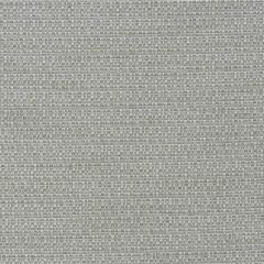 Kravet Couture Tender Storm 100436-121 Boathouse Collection by Andrew Martin Indoor Upholstery Fabric