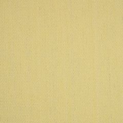 Ami-Flex Aramid Yellow / Gold 903025-1700 40 in. Fiberglass High Temperature Cloth Fabric