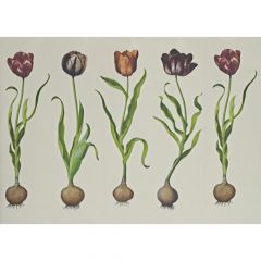 Kravet Couture Tulips Amw10067-310 by Andrew Martin Scholar Collection Wall Covering