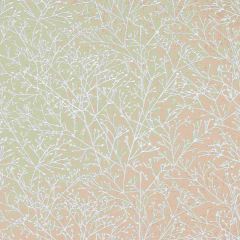 Thibaut Zola Embroidery Natural AW9101 Natural Glimmer Collection Drapery Fabric