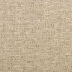 Kravet Smart 35518-116 Inside Out Performance Fabrics Collection Upholstery Fabric