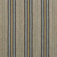 Robert Allen Contract Penta Platinum 216870 Indoor Upholstery Fabric