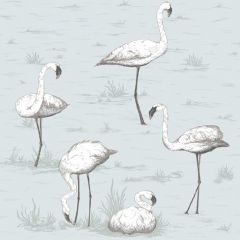 Cole and Son Flamingos Charcoal / Aqua 95-8047 Contemporary Restyled Collection Wall Covering