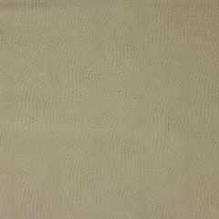 Kravet Design Beige Delaney 106 Indoor Upholstery Fabric