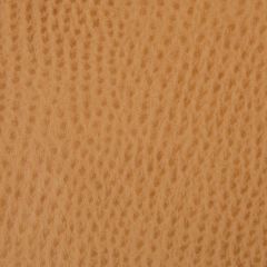 Kravet Ossy Yellow 4 Indoor Upholstery Fabric