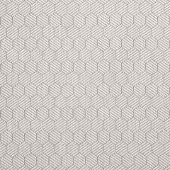 F Schumacher Abaco Grey 75342 Nautilus Collection Indoor Upholstery Fabric
