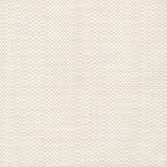 Perennials Raffia Oyster 210-24 Clodagh Collection Upholstery Fabric