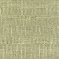 Highland Court 190218H 212-Apple Green Classics Collection Indoor Upholstery Fabric