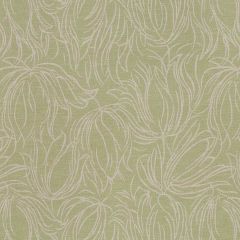 Robert Allen Tulip Etch Lettuce 508566 Epicurean Collection Indoor Upholstery Fabric
