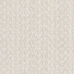 Perennials Wild and Wooly Sea Salt 976-124 Rodeo Drive Collection Upholstery Fabric