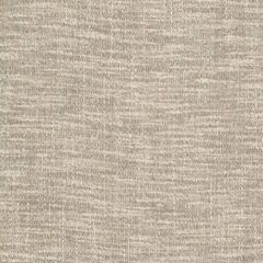 Robert Allen Boucle Tweed Zinc 246741 Tweedy Textures Collection Indoor Upholstery Fabric