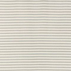 F Schumacher Geoffrey Metallic Stripe Moonglow 69242 Understated Luxury Collection Indoor Upholstery Fabric