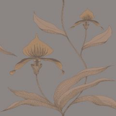 Cole and Son Orchid Bronze / Slate 95-10056 Contemporary Restyled Collection Wall Covering