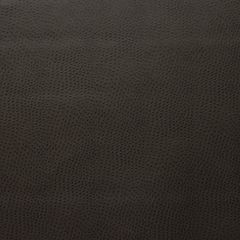 Kravet Design Brown Delaney 616 Indoor Upholstery Fabric