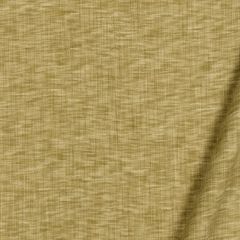 Robert Allen Korinthos-Cashew 149537 Decor Multi-Purpose Fabric
