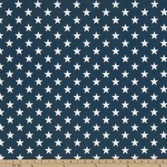 Premier Prints Stars Oxford Indoor-Outdoor Upholstery Fabric