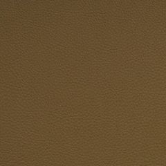 Aura Retreat Spice SCL-211 Upholstery Fabric