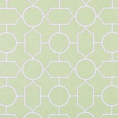 Duralee Peridot 42471-579 Astoria Trellis Print Collection Upholstery Fabric
