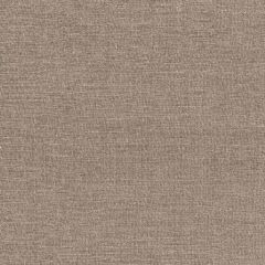 F. Schumacher Spencer Chenille Ash 66894 Chroma Collection