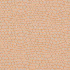 Sunbrella Connect Marigold CNT J270 140 Marine Decorative Collection Upholstery Fabric