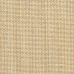 Perennials Rough 'n Rowdy Straw 955-169 Beyond the Bend Collection Upholstery Fabric