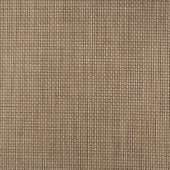 Phifertex Bellingrath EH3 54-inch Cane Wicker Collection Sling Upholstery Fabric