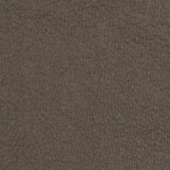 Robert Allen Contract Imitable-Molasses 243190 Decor Upholstery Fabric