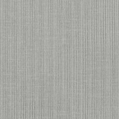 F Schumacher Antique Strie Velvet Platinum 69747 Perfect Basics: Antique Strie Velvet Collection Indoor Upholstery Fabric