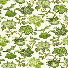 F. Schumacher Hothouse Flowers Verdance 174032 by Celerie Kemble Upholstery Fabric