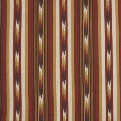 Robert Allen Ikat Stripe Spice 216787 Color Library Collection Multipurpose Fabric