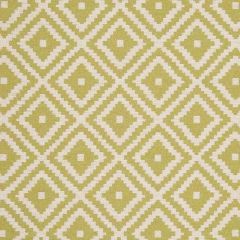 Clarke and Clarke Tahoma Palm F0810-10 Indoor Upholstery Fabric