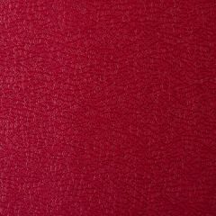 Kravet Contract Barracuda Ruby 9 Sta-Kleen Collection Indoor Upholstery Fabric