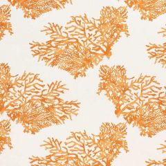 F Schumacher Great Barrier Reef Orange 175366 Nautilus Collection Indoor Upholstery Fabric
