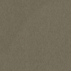 Robert Allen Ghanan Weave Truffle 508590 Epicurean Collection Indoor Upholstery Fabric