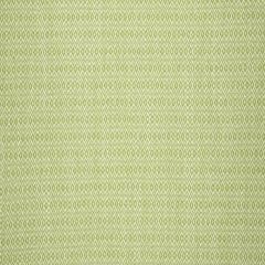 Robert Allen Balance Spring Grass 241086 Botanical Color Collection Indoor Upholstery Fabric