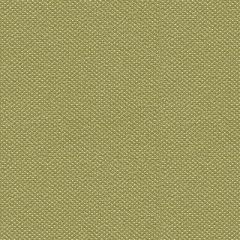 Silvertex 8819 Celery Contract Marine Automotive and Healthcare Seating Upholstery Fabric
