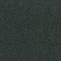 ABBEYSHEA Asher 24 Dark Cyan Multipurpose Fabric
