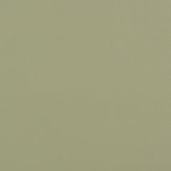 Kravet Sage 30 Faux Leather Extreme Performance Collection Upholstery Fabric