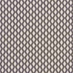 F Schumacher Beehive Graphite 73422 Happy Together Collection Indoor Upholstery Fabric