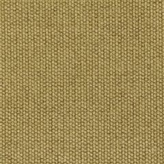 Robert Allen Contract Mini Stitch-Hay 214838 Decor Upholstery Fabric