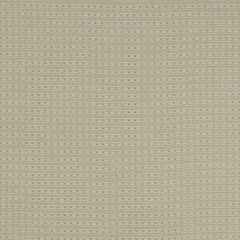 Robert Allen Softly Subtle Oyster 509437 Epicurean Collection Indoor Upholstery Fabric